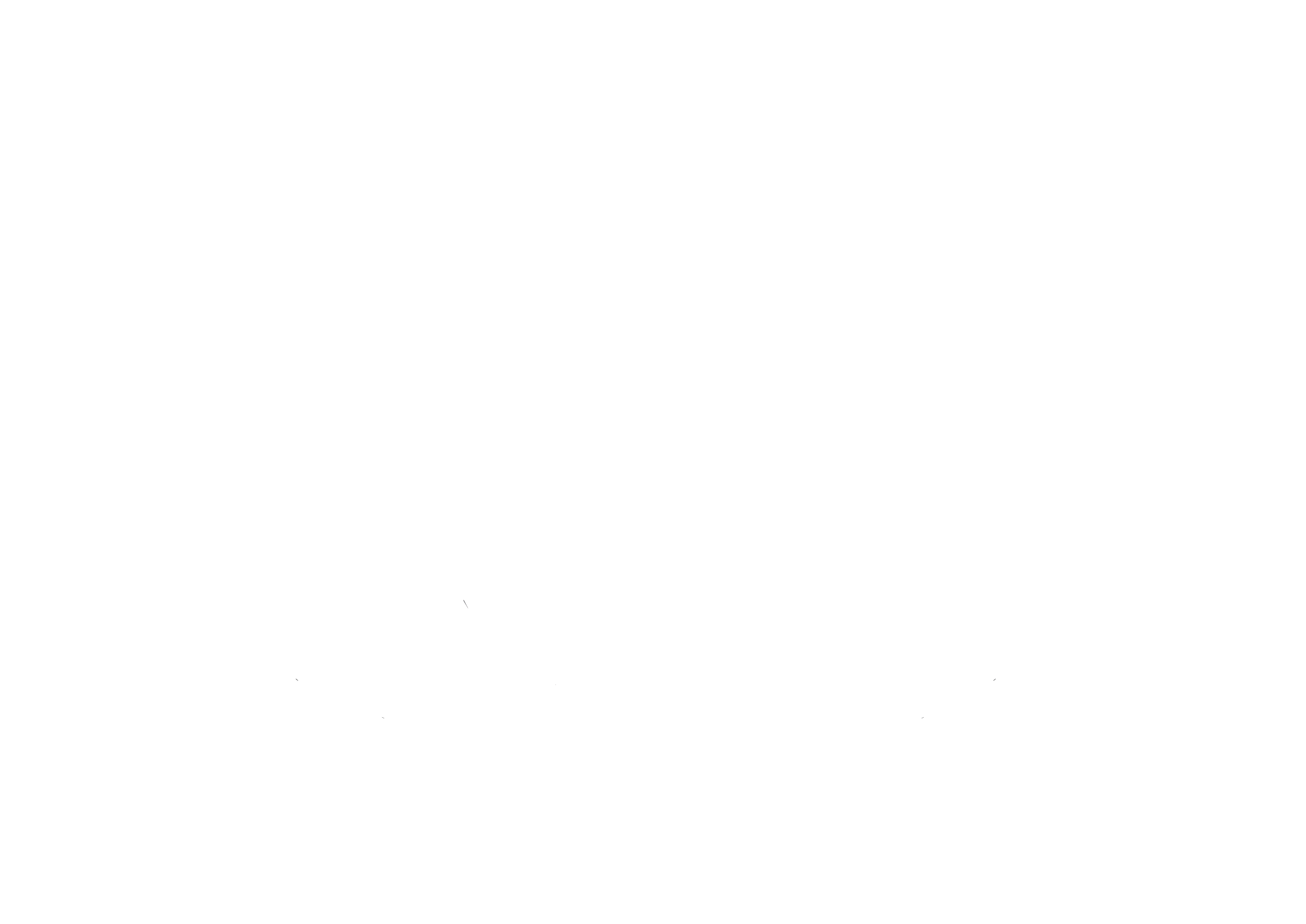 Logo Hero of the Road - white